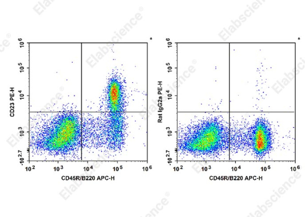 PE Anti-Mouse CD23 Antibody[B3B4] (E-AB-F1178UD)