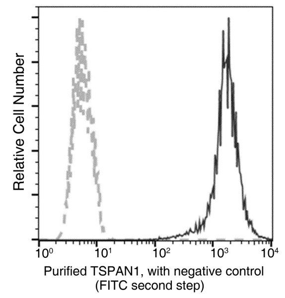 Recombinant TSPAN1 Monoclonal Antibody (AN300264P)