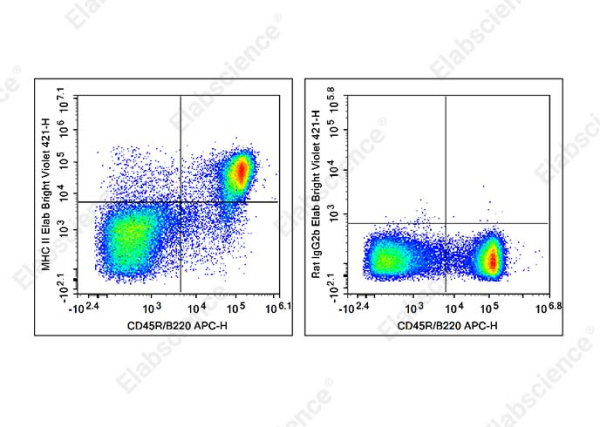 Elab Bright™ Violet 421 Anti-Mouse MHC II (I-A/I-E) Antibody[M5/114] (E-AB-F0990Q2)