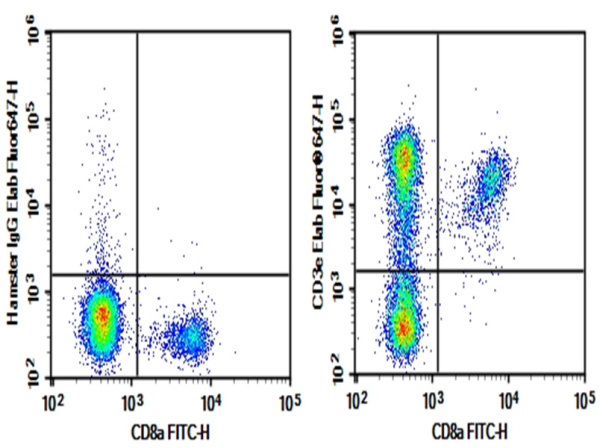 AF/LE Purified Anti-Mouse CD3ε Antibody[145-2C11] (E-AB-F11030)