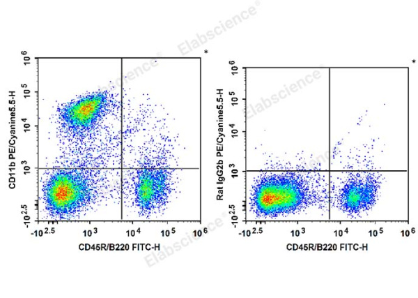 PE/Cyanine5.5 Anti-Mouse/Human CD11b Antibody[M1/70] (E-AB-F1081UI)