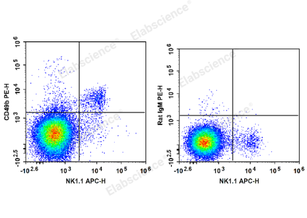 PE Anti-Mouse CD49b/pan-NK cells Antibody[DX5] (E-AB-F1116UD)