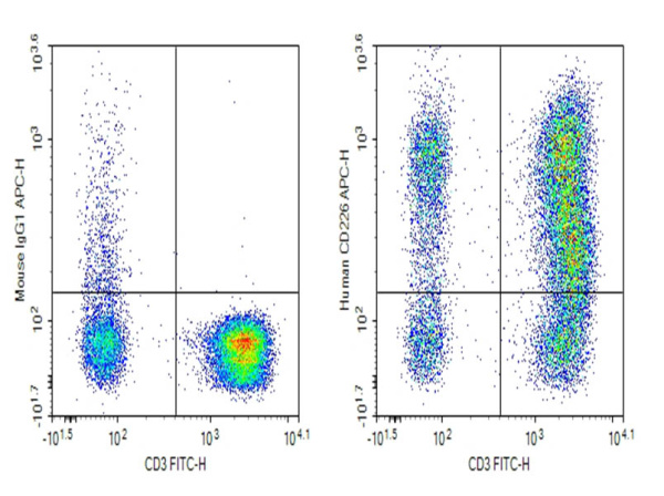 Purified Anti-Human CD226 Antibody[11A8] (E-AB-F1369A)