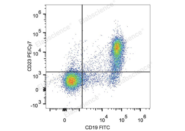PE/Cyanine7 Anti-Mouse CD23 Antibody[B3B4] (E-AB-F1178UH)