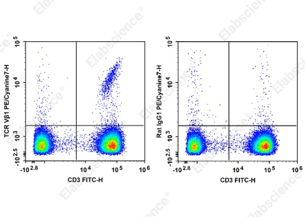 PE/Cyanine 7 Anti-Human TCR Vβ1 Antibody[BL37.2] (AN00371H)