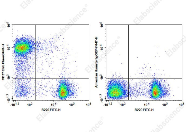 Elab Fluor® 647 Anti-Mouse CD27 Antibody[LG.3A10] (AN00322M)