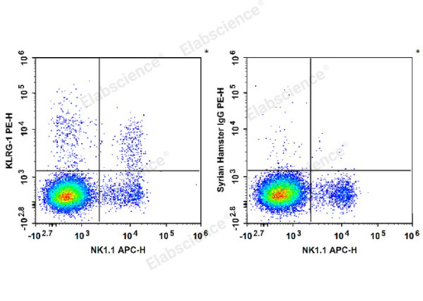 PE Anti-Human/Mouse KLRG-1 Antibody[2F1] (E-AB-F1273D)