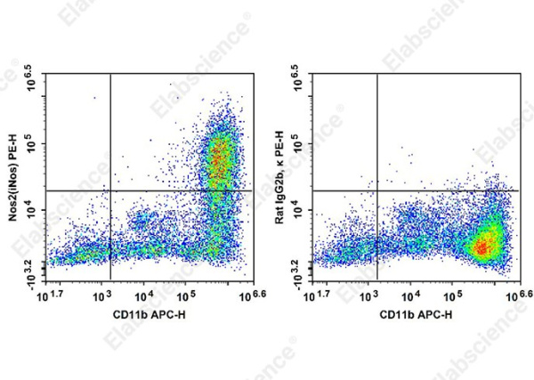 PE Anti-Mouse Nos2(iNos) Antibody[W16030C] (AN00993D)