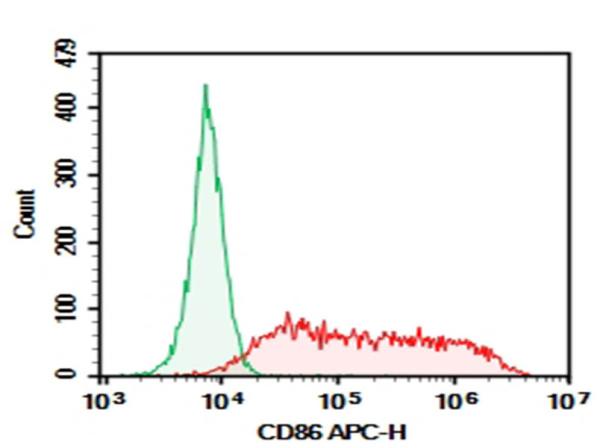 AF/LE Purified Anti-Mouse CD86 Antibody[GL-1] (E-AB-F09940)