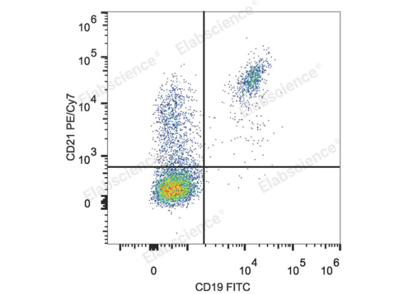 PE/Cyanine7 Anti-Human CD21 Antibody[BU32] (E-AB-F1046H)
