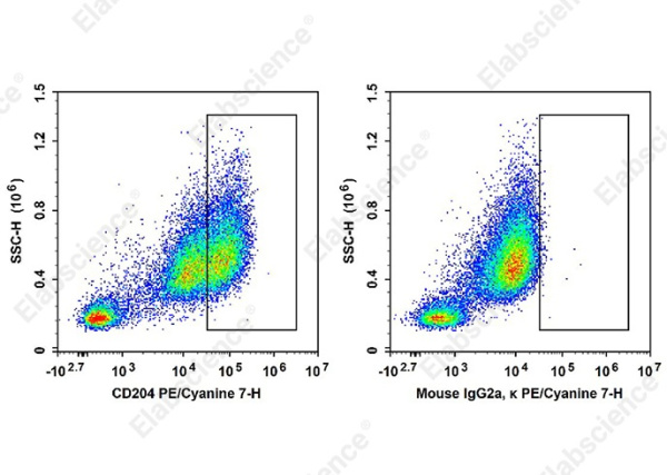 PE/Cyanine7 Anti-Human CD204 Antibody[7C9C20] (AN00876H)