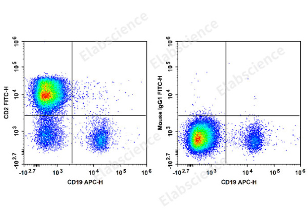 FITC Anti-Human CD2 Antibody[RPA-2.10] (E-AB-F1375C)