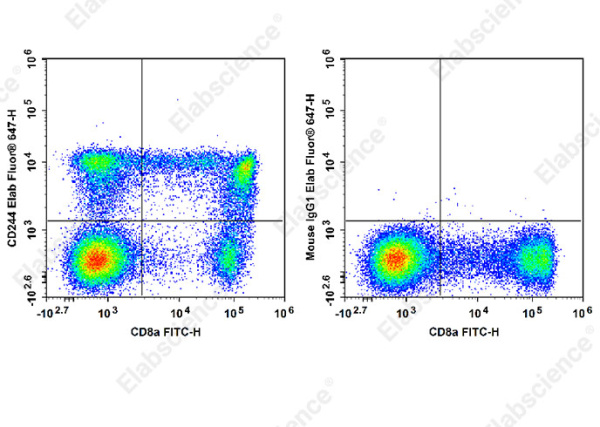 Elab Fluor® 647 Anti-Human CD244 Antibody[C1.7] (E-AB-F1374M)