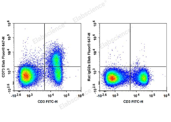 Elab Fluor® 647 Anti-Mouse CD73 Antibody[TY/23] (E-AB-F1089M)
