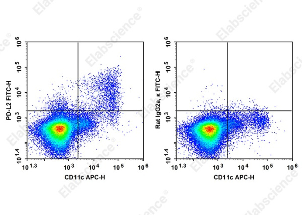 FITC Anti-Mouse PD-L2 Antibody[TY25] (AN00849C)