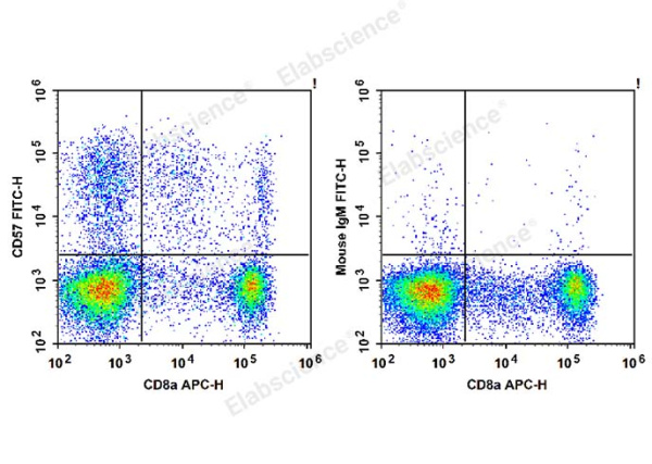 FITC Anti-Human CD57 Antibody[HNK-1] (E-AB-F1067C)