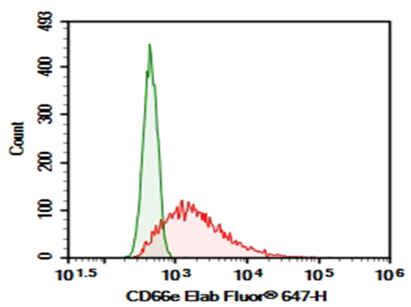 Purified Anti-Human CD66e Antibody[A5B7] (AN004750P)
