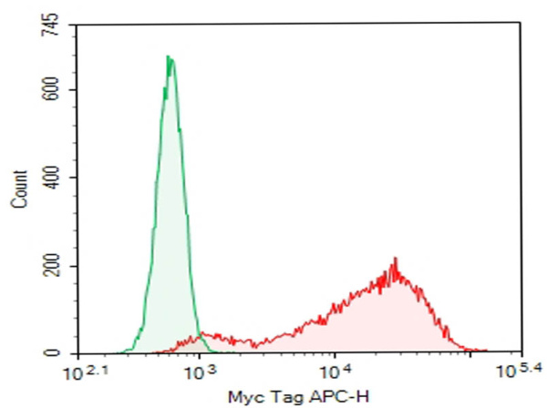 Purified Anti-Myc-Tag Antibody[9E10] (E-AB-F1465A)