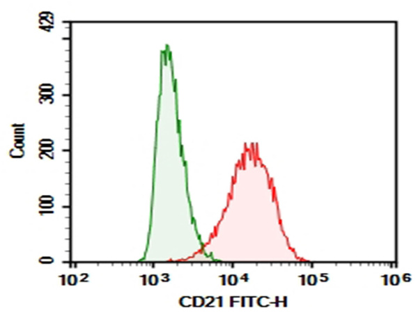 Purified Anti-Human CD21 Antibody[HB5] (E-AB-F13770P)