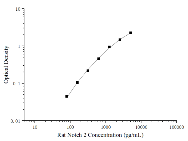 Rat Notch 2 Antibody Pair Set (E-KAB-0389)