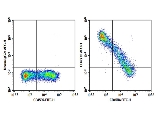 Purified Anti-Human CD45RO Antibody[UCHL1] (E-AB-F1139A)