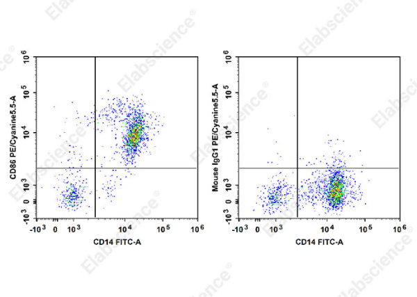 PE/Cyanine5.5 Anti-Human CD86 Antibody[BU63] (E-AB-F1012I)