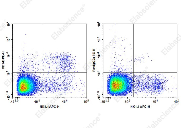 PE Anti-Mouse CD146 Antibody[ME-9F1] (E-AB-F1395D)