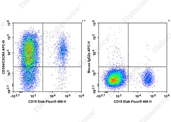 APC Anti-Human CD184/CXCR4 Antibody[12G5] (E-AB-F1157E)