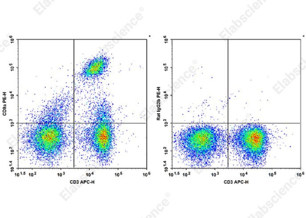 PE Anti-Mouse CD8a Antibody[YTS 105.18] (AN00331UD)