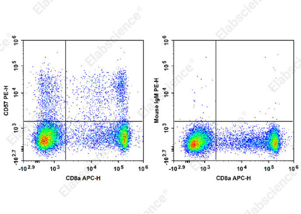 PE Anti-Human CD57 Antibody[HNK-1] (E-AB-F1067D)