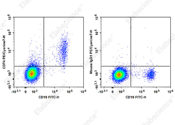PE/Cyanine7 Anti-Human CD74 Antibody[LL1] (E-AB-F1421H)