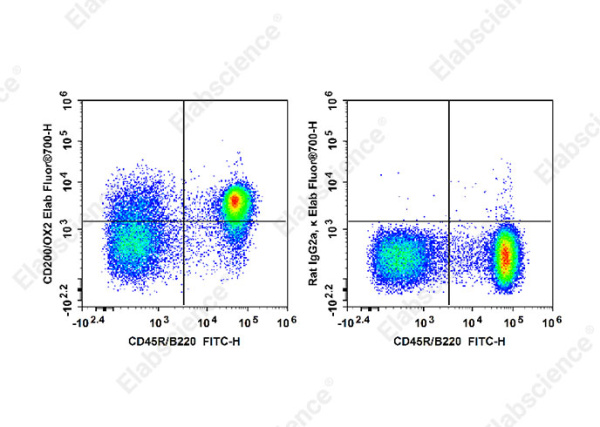 Elab Fluor® 700 Anti-Mouse CD200/OX2 Antibody[OX-90] (E-AB-F1234M1)