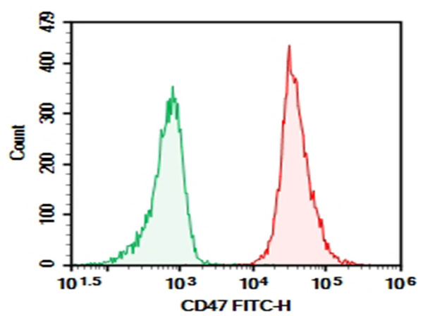 AF/LE Purified Anti-Human/Mouse/Rat CD47 Antibody[MIAP410] (E-AB-F10160)