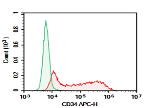 Purified Anti-Human CD34 Antibody[HI273] (AN008600P)
