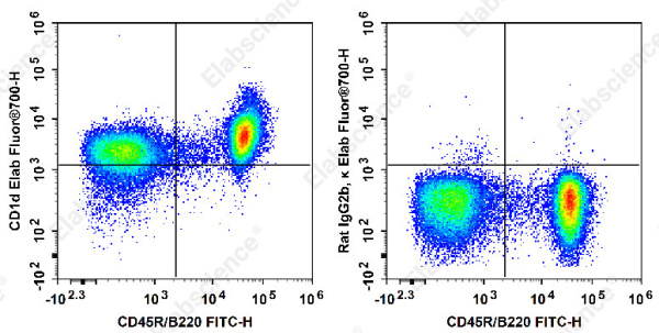 Elab Fluor® 700 Anti-Mouse CD1d Antibody[19G11] (E-AB-F1032UM1)