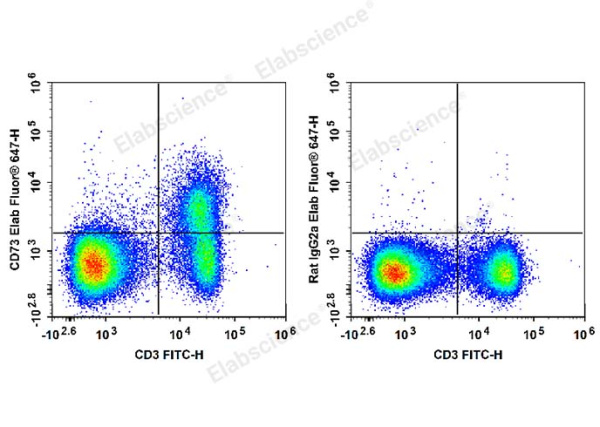 Elab Fluor® 647 Anti-Mouse CD73 Antibody[TY/23] (E-AB-F1089UM)