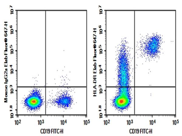 Purified Anti-Human HLA-DR Antibody[L243] (E-AB-F1111A)