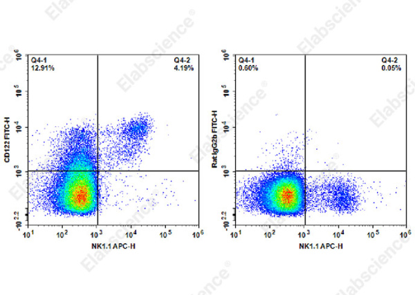 FITC Anti-Mouse CD122 Antibody[TM-Beta 1] (AN00418C)