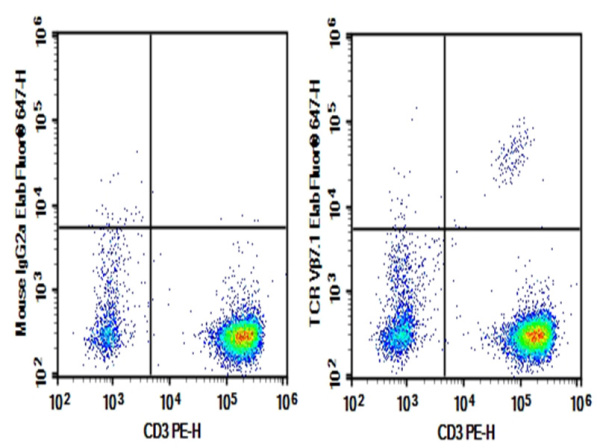 Purified Anti-Human TCRVβ7.1 Antibody[ZOE5.1] (AN003700P)