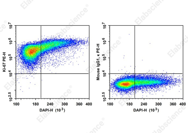 PE Anti-Human Ki-67 Antibody[3B7] (AN00540D)