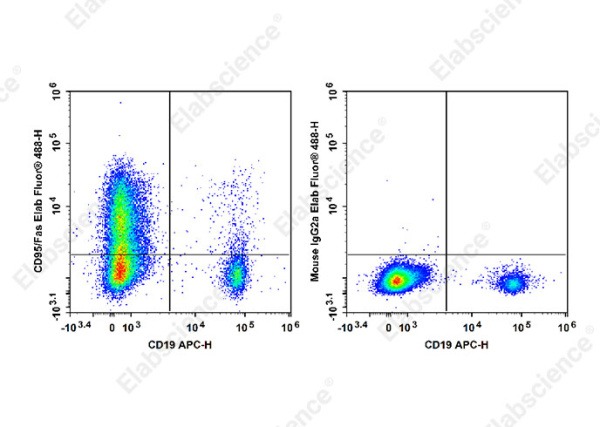 Elab Fluor® 488 Anti-Human CD95/Fas Antibody[HFE7A/APO] (E-AB-F1379L)