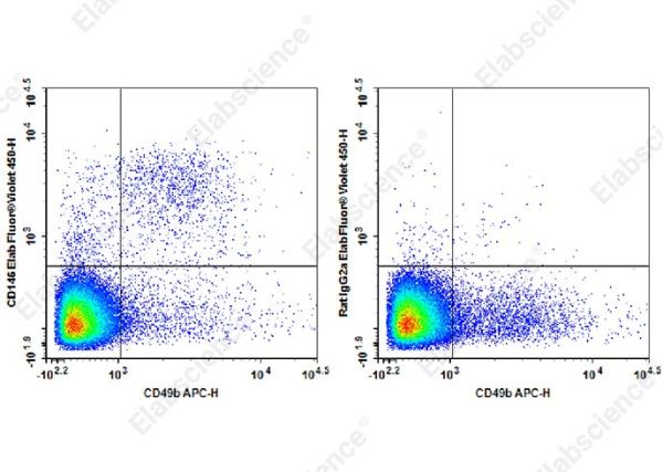 Elab Fluor® Violet 450 Anti-Mouse CD146 Antibody[ME-9F1] (E-AB-F1395Q)