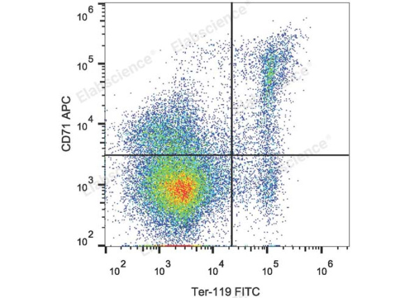 APC Anti-Mouse CD71 Antibody[R17 217.1.3/TIB-219] (E-AB-F1093E)