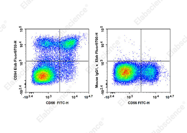 Elab Fluor® 700 Anti-Human CD94 Antibody[DX22] (E-AB-F1384M1)