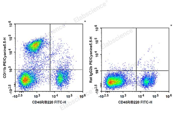 PE/Cyanine5.5 Anti-Mouse/Human CD11b Antibody[M1/70] (E-AB-F1081I)