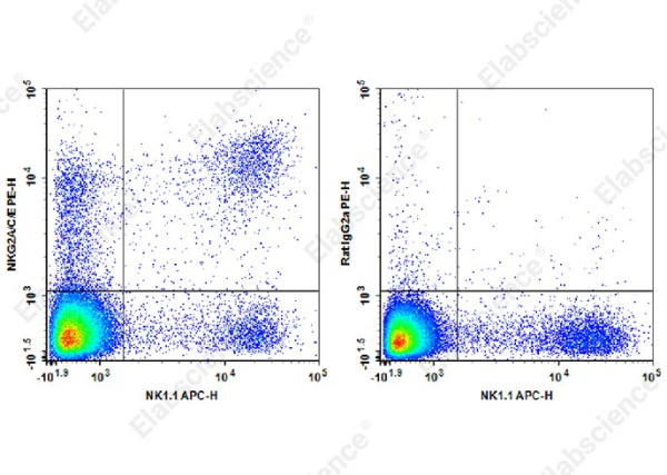PE Anti-Mouse NKG2A/C/E Antibody[20d5] (AN00409D)