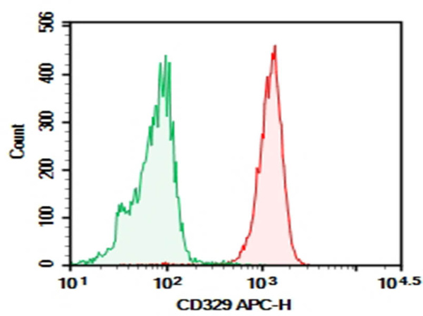 Purified Anti-Human CD329 Antibody[K8] (AN003190P)