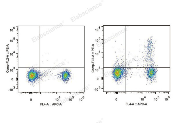 PE Anti-Mouse CD25 Antibody[PC-61.5.3] (E-AB-F1102D)