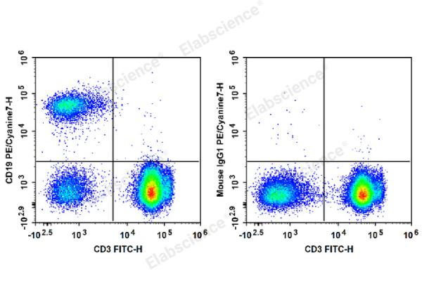 PE/Cyanine7 Anti-Human CD19 Antibody[HI19a] (E-AB-F1304H)