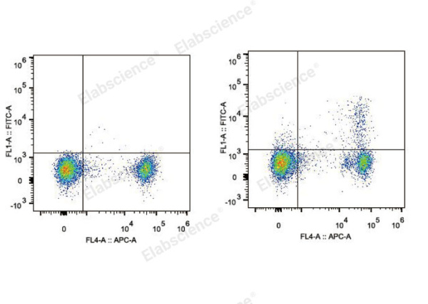 FITC Anti-Mouse CD25 Antibody[PC-61.5.3] (E-AB-F1102UC)
